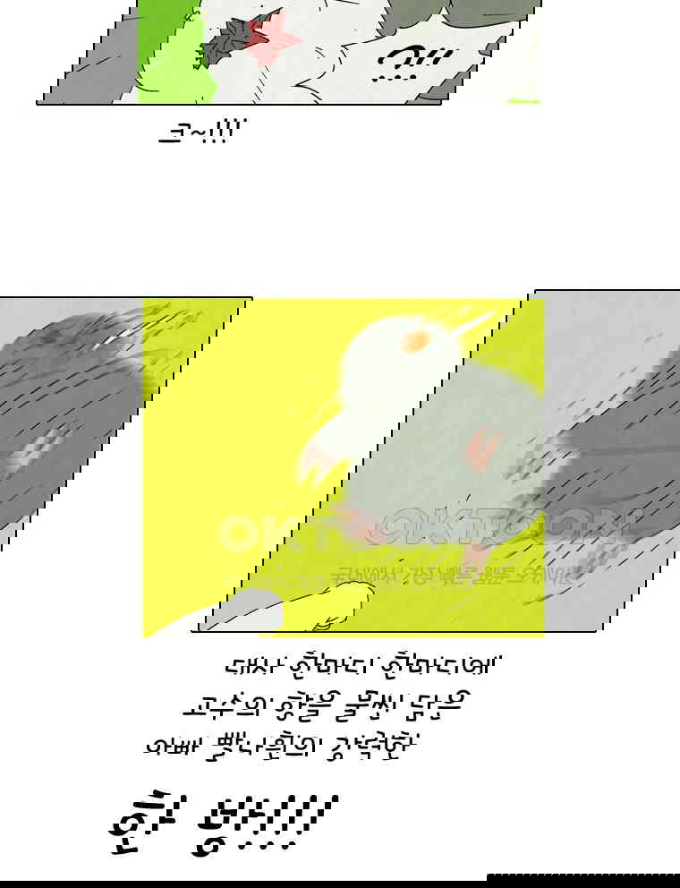1730238799464mhjoh337ek.jpg