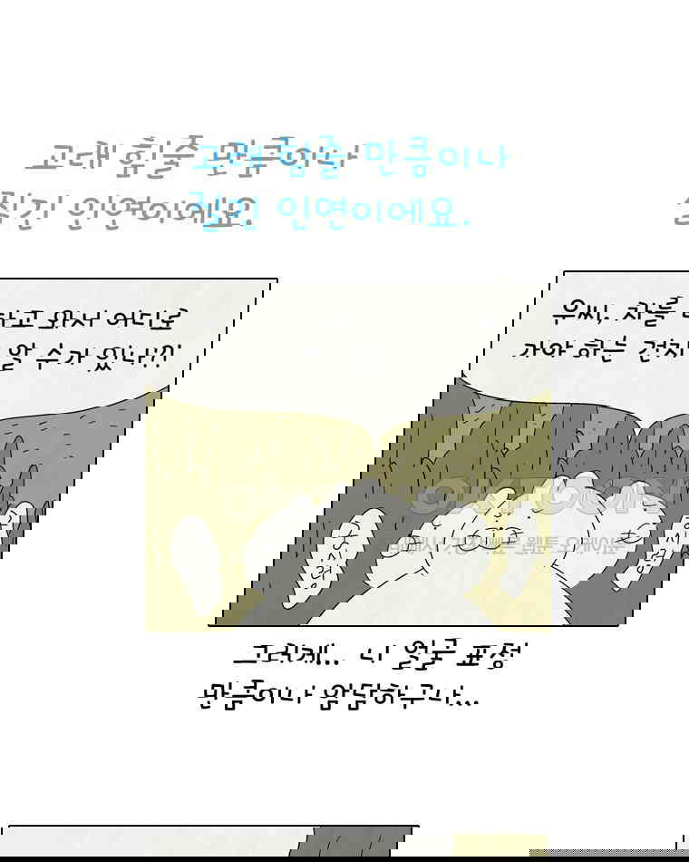 1730238871199ryhxh4gla49.jpg