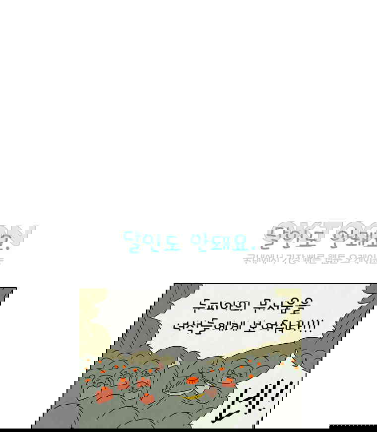 17302392533358py09caksln.jpg