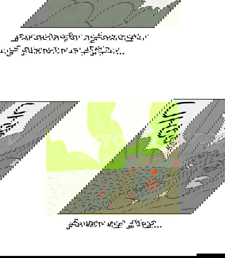 1730239253488utmp4jkyovo.jpg