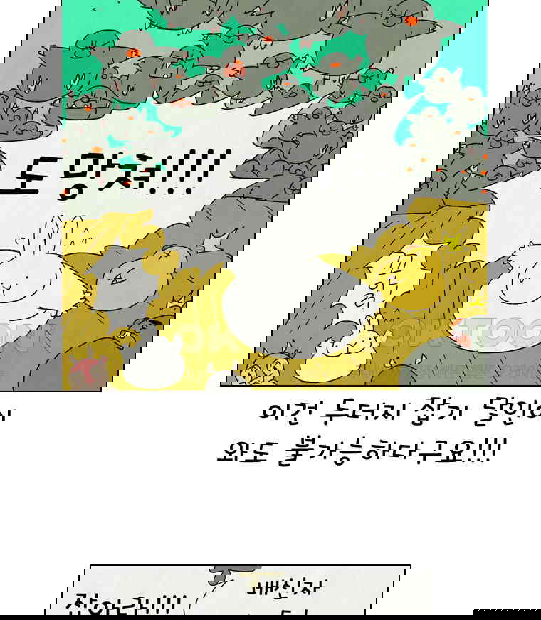 1730239253952h966kqu6qcr.jpg