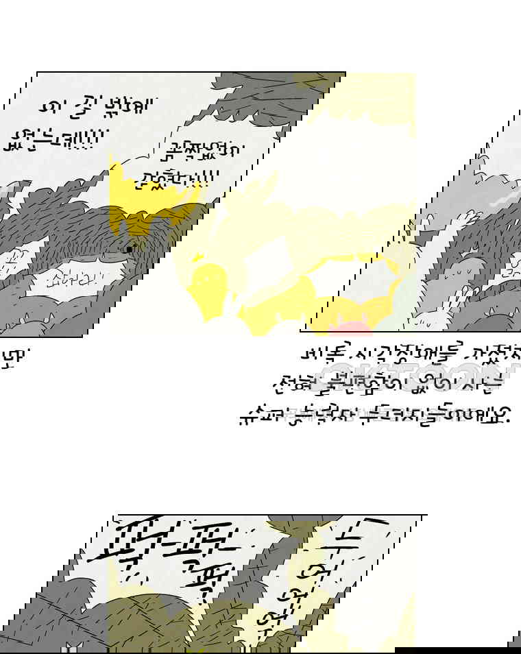 17302392639249rcg111v8d.jpg