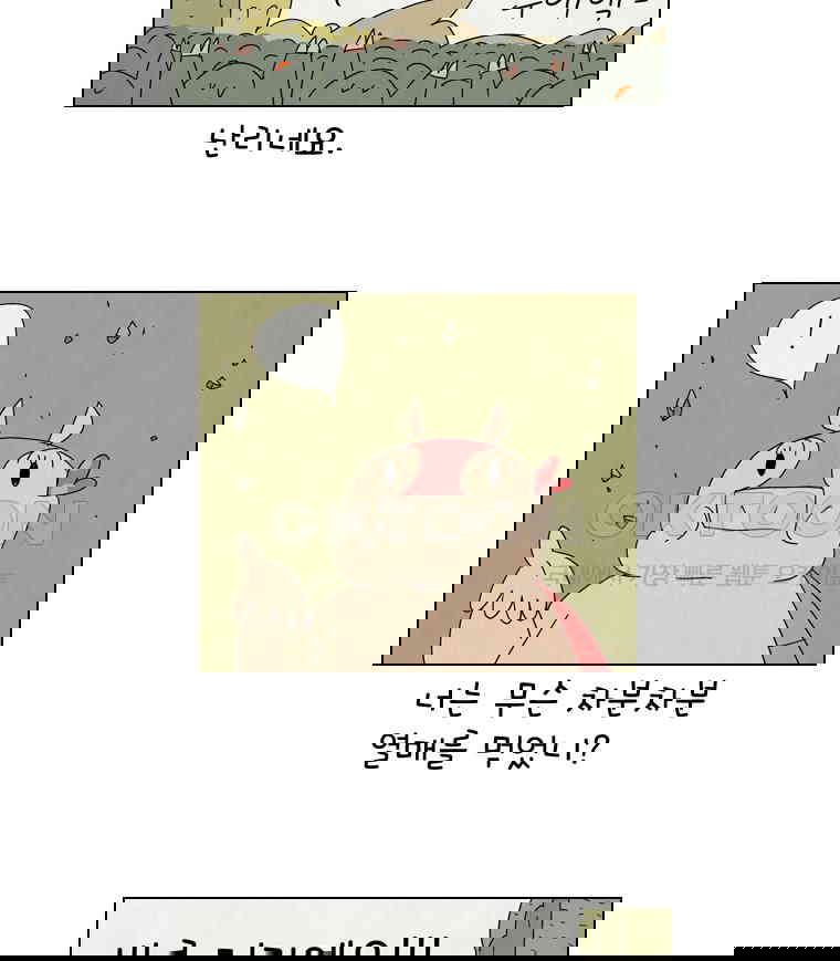 17302393478153xaypf1s8nl.jpg