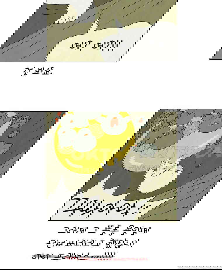 17302393880511vj0v0tenf7.jpg