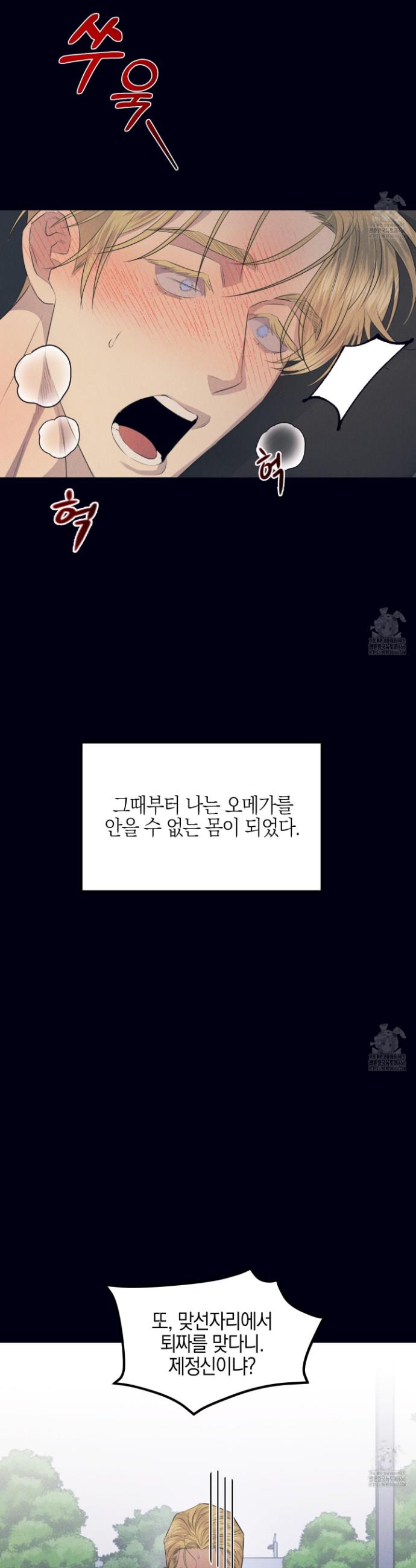 1735163911216wbowtoy87ga.jpg
