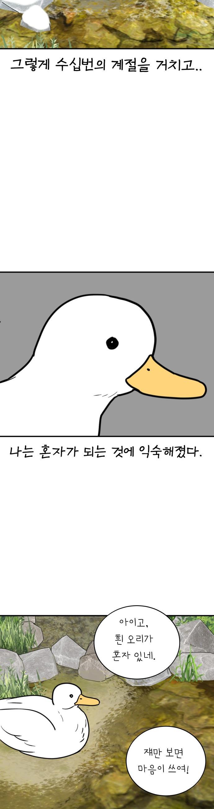 1737065607232sq4ndbx33b.jpg