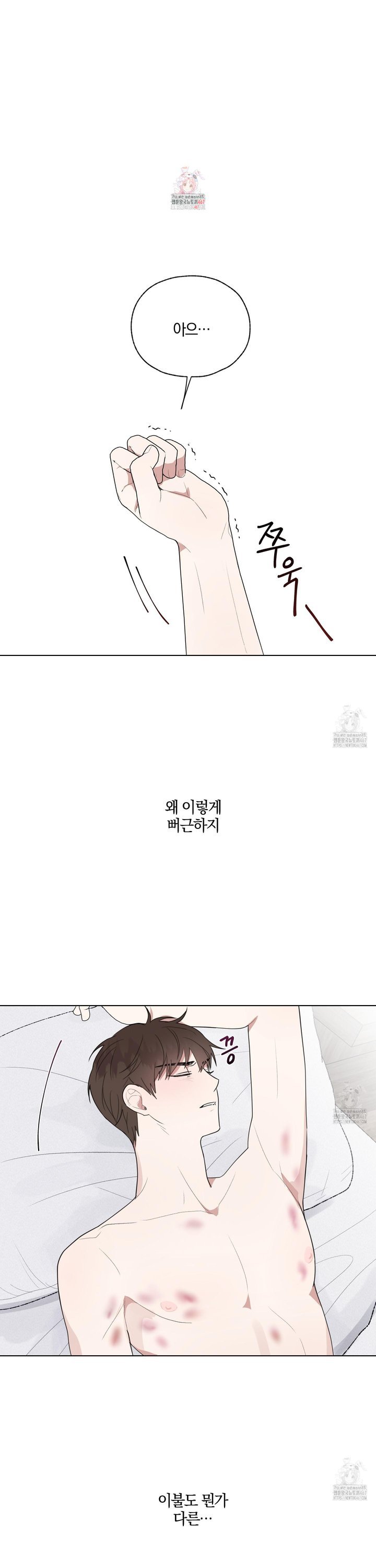 1737242446324n5yooc8gmrq.jpg