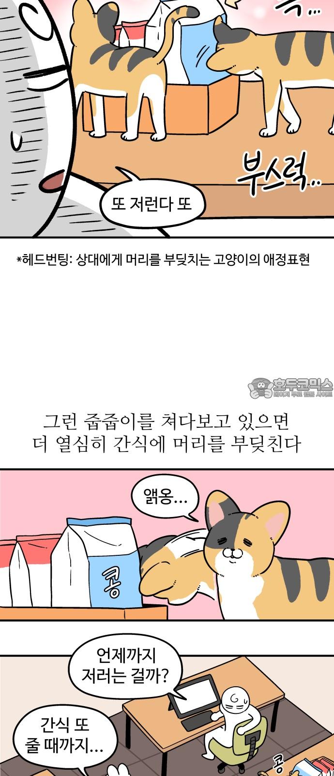 1737586304309bjd6o5jyp5l.jpg