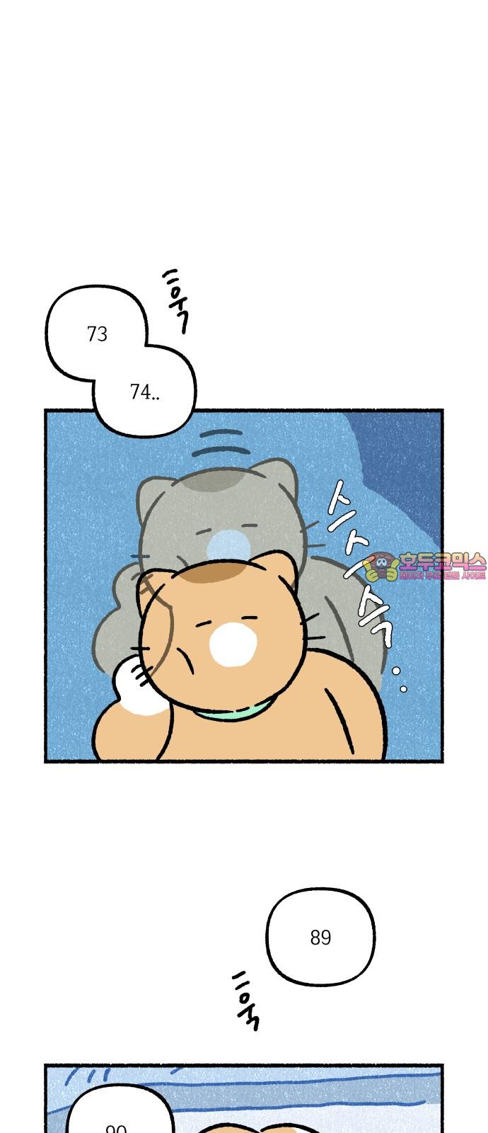 1739228359736yzpwu7i20ni.jpg