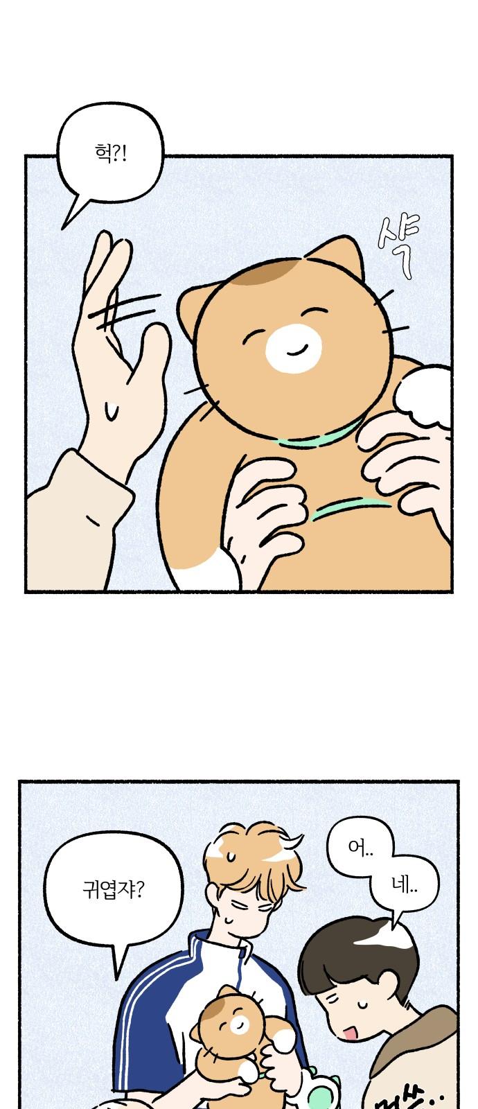 1739228368746shqnkq1r1lc.jpg
