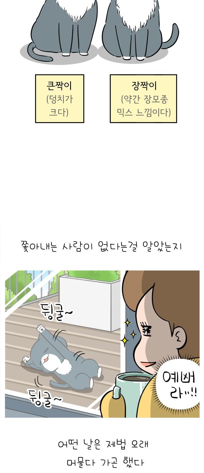 1740411412849tsserx9me4d.jpg