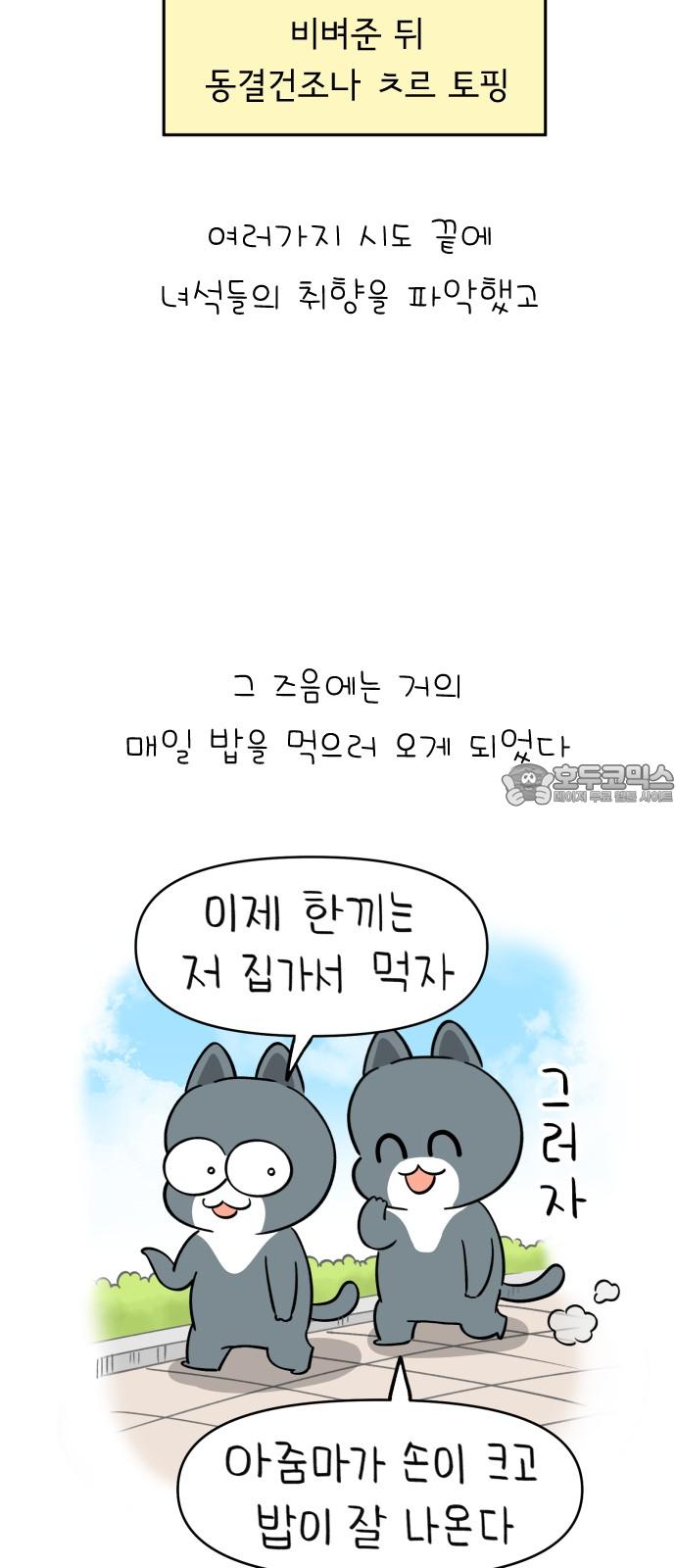 1740411413929hok3smcwfll.jpg