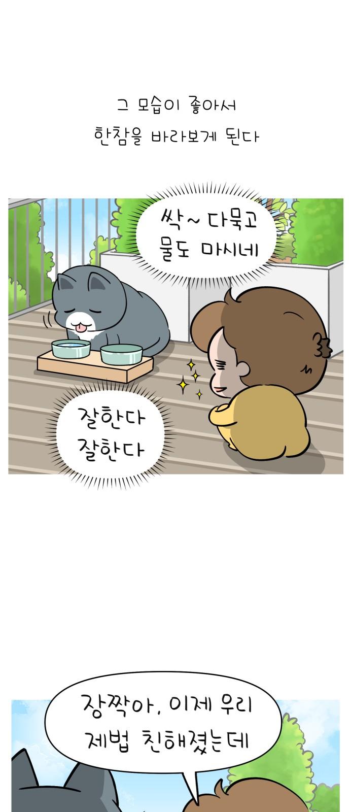 1740411414241yyjtebyo9t.jpg