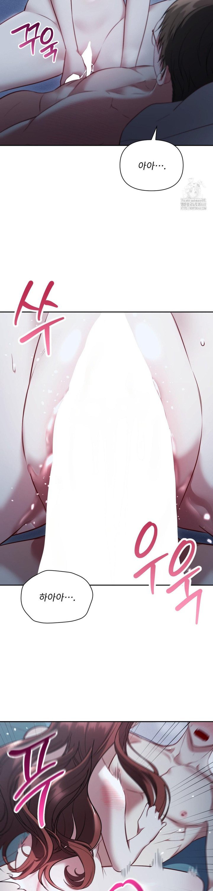 1740606535384o4rxn5eby8e.jpg