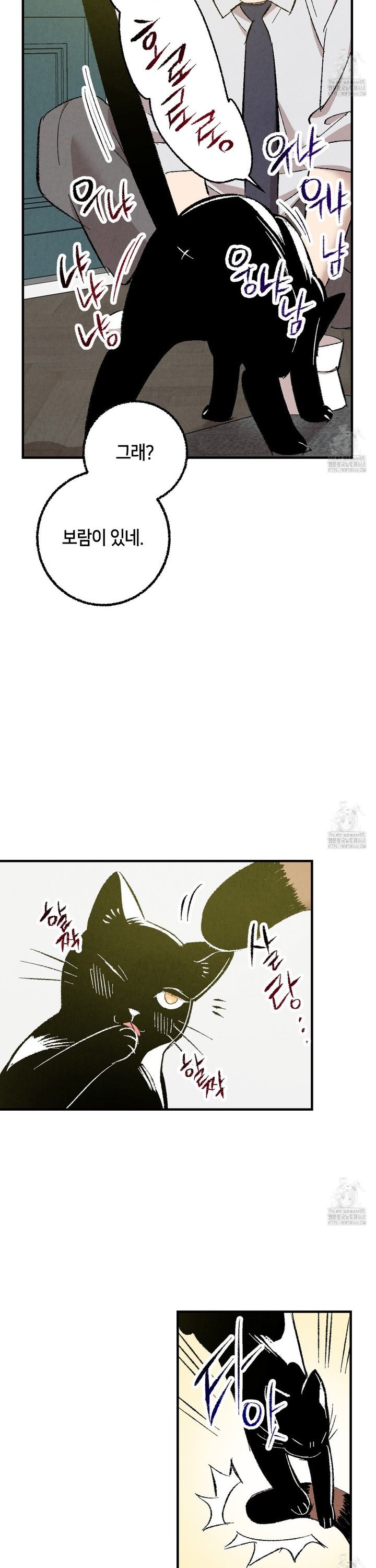 1738789746719liny8jl6y2d.jpg